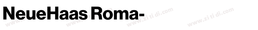 NeueHaas Roma字体转换
